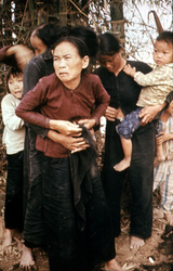 11.bmp