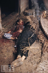 14.bmp