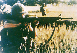 2.bmp